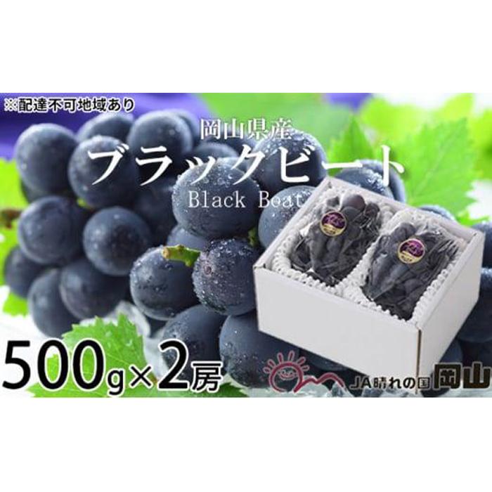 ぶどう 2026年 ブラックビート 約500g×2房 ブドウ 葡萄 岡山県産 国産 フルーツ 果物 ギフト | フルーツ 果物 くだもの 食品 人気 おすすめ 送料無料
