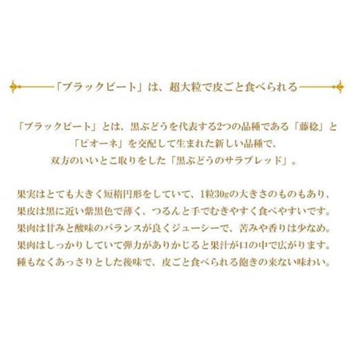 【ふるさと納税】ぶどう 2026年 ブラックビート 約500g×2房 ブドウ 葡萄 岡山県産 国産 フルーツ 果物 ギフト | フルーツ 果物 くだもの 食品 人気 おすすめ 送料無料 サムネイル2