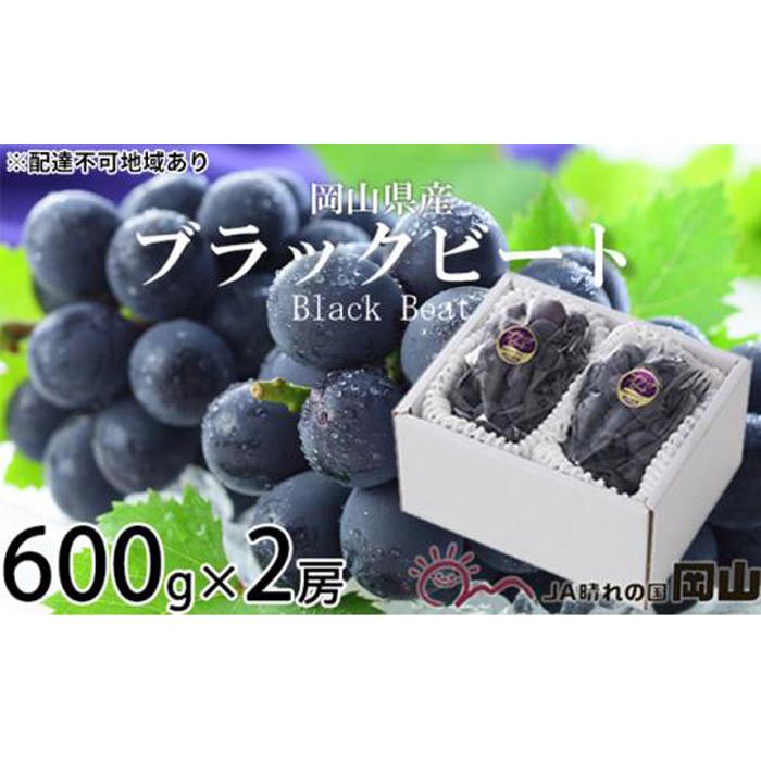 ぶどう 2026年 ブラックビート 約600g×2房 ブドウ 葡萄 岡山県産 国産 フルーツ 果物 ギフト | フルーツ 果物 くだもの 食品 人気 おすすめ 送料無料