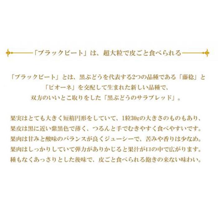 【ふるさと納税】ぶどう 2026年 ブラックビート 約1.5kg 3房～6房 ブドウ 葡萄 岡山県産 国産 フルーツ 果物 ギフト | フルーツ 果物 くだもの 食品 人気 おすすめ 送料無料 サムネイル2