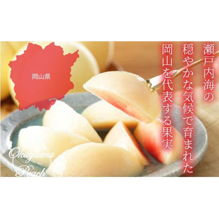 【ふるさと納税】桃 2026年 岡山 白桃 ロイヤル 5～10玉 約2kg JAおかやまのもも（早生種・中生種） もも モモ 岡山県産 国産 フルーツ 果物 ギフト | もも フルーツ 果物 くだもの 食品 人気 おすすめ 送料無料 サムネイル2