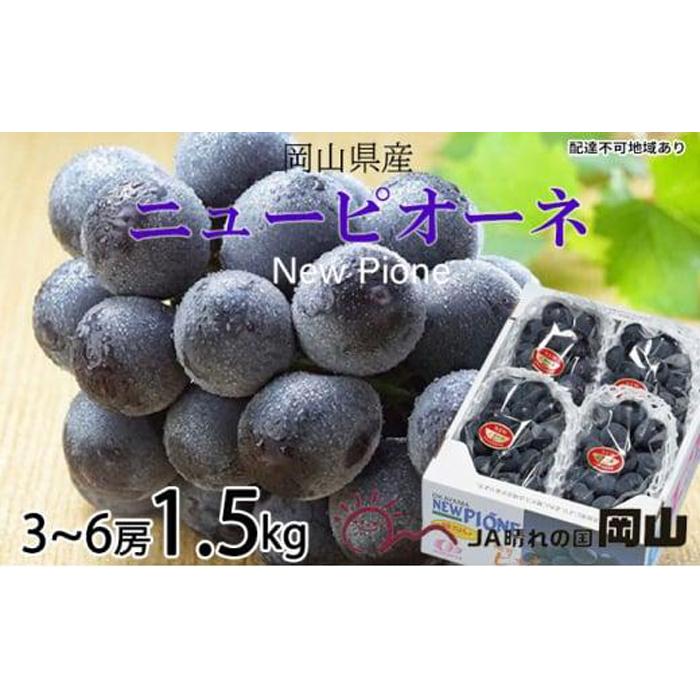 ぶどう 2026年 ニュー ピオーネ 3房～6房 約1.5kg ブドウ 葡萄 岡山県産 国産 フルーツ 果物 ギフト | フルーツ 果物 くだもの 食品 人気 おすすめ 送料無料