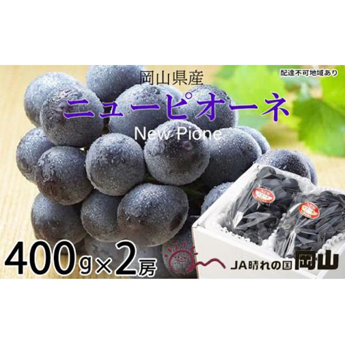 ぶどう 2026年 ニュー ピオーネ 約400g×2房 ブドウ 葡萄 岡山県産 国産 フルーツ 果物 ギフト | フルーツ 果物 くだもの 食品 人気 おすすめ 送料無料