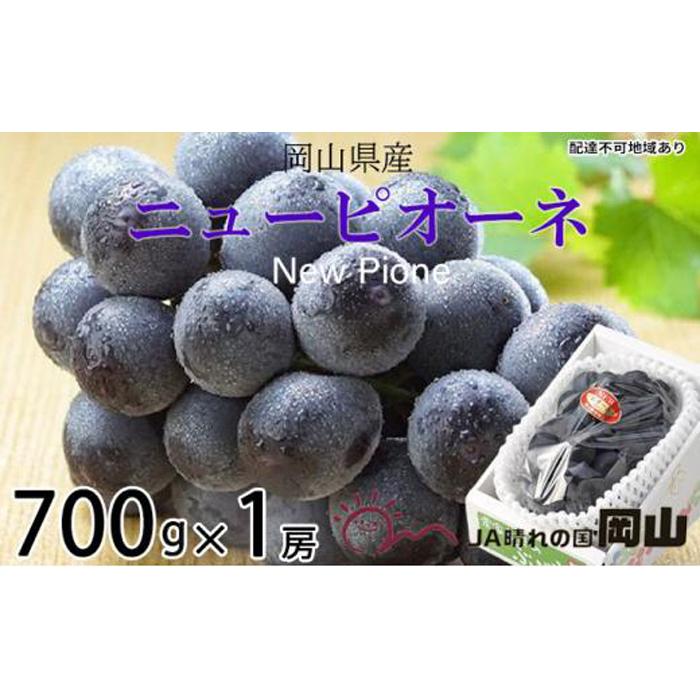 ぶどう 2026年 ニュー ピオーネ 約700g×1房 ブドウ 葡萄 岡山県産 国産 フルーツ 果物 ギフト | フルーツ 果物 くだもの 食品 人気 おすすめ 送料無料