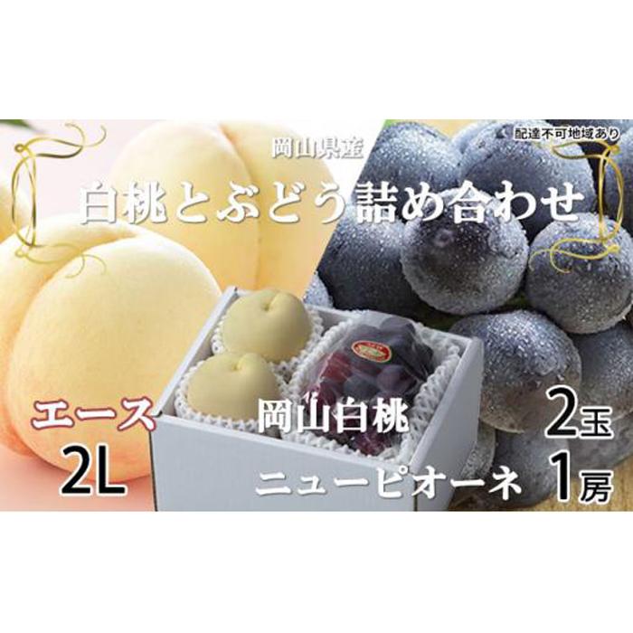 桃 ぶどう 2026年 岡山 白桃 エース 2玉×約250g（2Lサイズ、早生種・中生種）ニュー ピオーネ 1房約500g 詰め合わせ 岡山県産 フルーツ | フルーツ 果物 くだもの 食品 人気 おすすめ