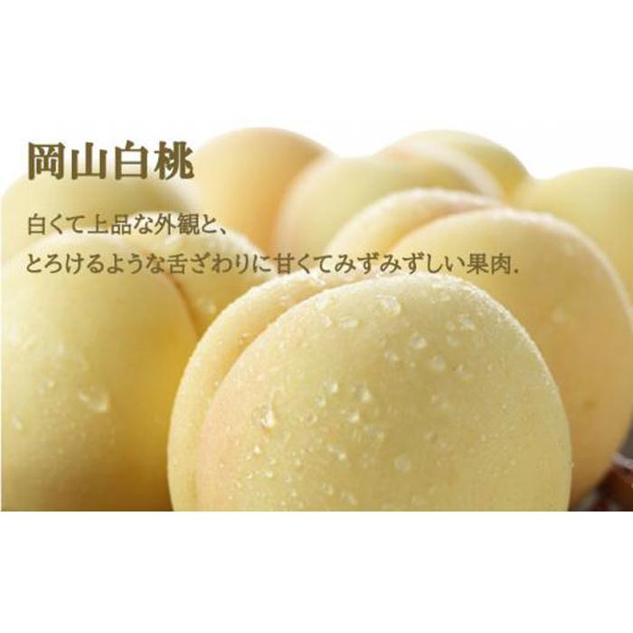 【ふるさと納税】桃 ぶどう 2026年 岡山 白桃 エース 2玉×約250g（2Lサイズ、早生種・中生種）ニュー ピオーネ 1房約500g 詰め合わせ 岡山県産 フルーツ | フルーツ 果物 くだもの 食品 人気 おすすめ サムネイル2
