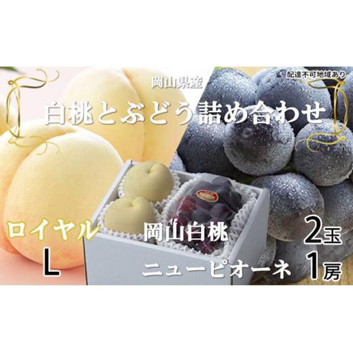 桃 ぶどう 2026年 岡山 白桃 ロイヤル 2玉×約200g（Lサイズ、早生種・中生種）ニュー ピオーネ 1房約400g 詰め合わせ 岡山県産 フルーツ | フルーツ 果物 くだもの 食品 人気 おすすめ 送料無料