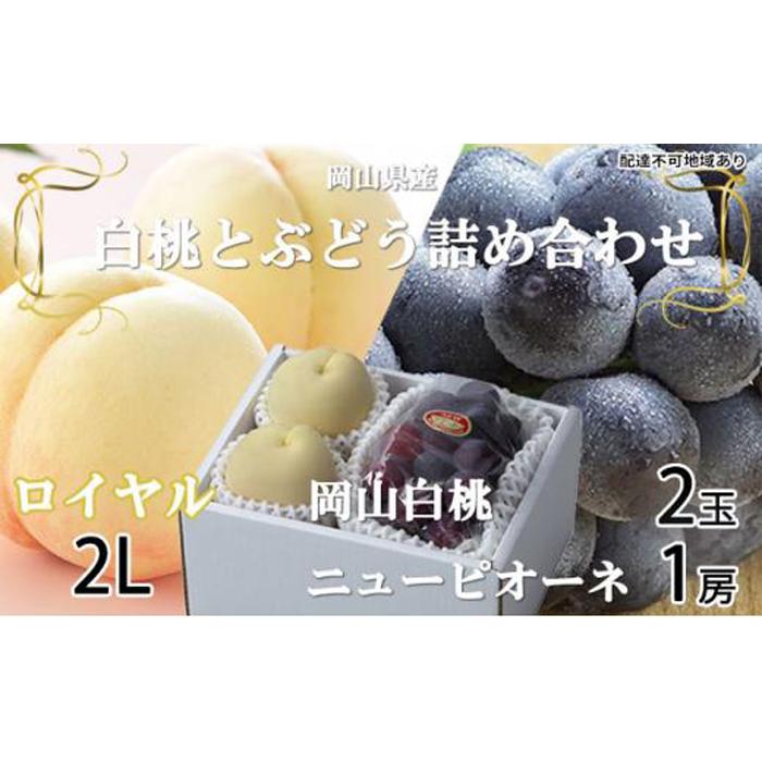 桃 ぶどう 2026年 岡山 白桃 ロイヤル 2玉×約250g（2Lサイズ、早生種・中生種）ニュー ピオーネ 1房約500g 詰め合わせ 岡山県産 フルーツ | フルーツ 果物 くだもの 食品 人気 おすすめ