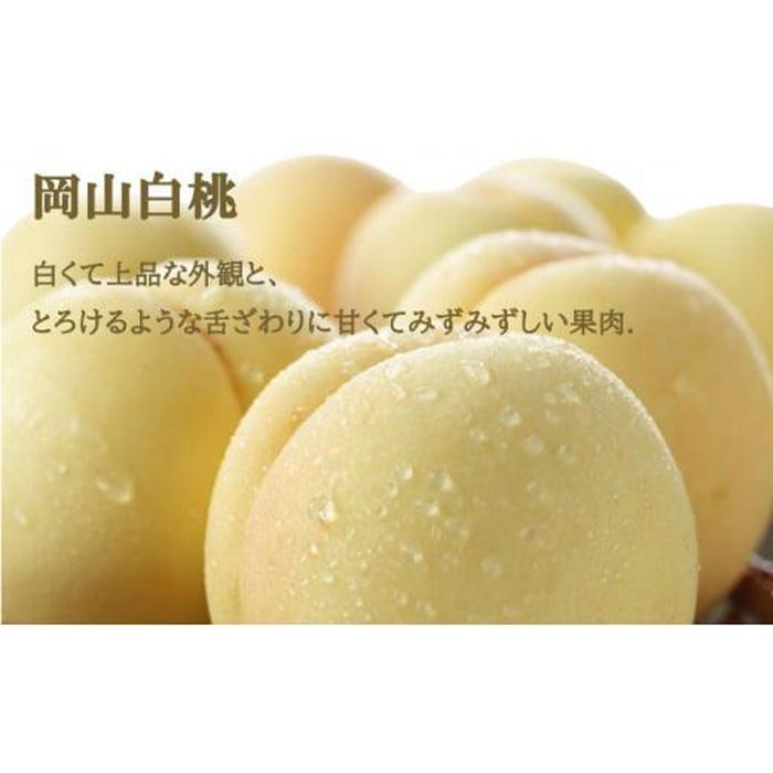【ふるさと納税】桃 ぶどう 2026年 岡山 白桃 ロイヤル 2玉×約250g（2Lサイズ、早生種・中生種）ニュー ピオーネ 1房約500g 詰め合わせ 岡山県産 フルーツ | フルーツ 果物 くだもの 食品 人気 おすすめ サムネイル2