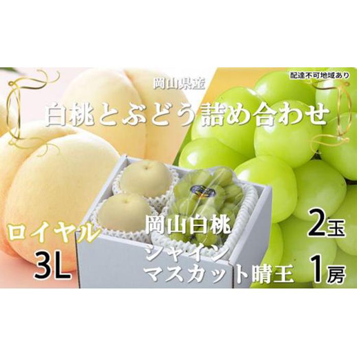 桃 ぶどう 2026年 岡山白桃 ロイヤル 2玉×約300g（3Lサイズ、早生種・中生種）シャインマスカット 晴王 1房約600g 詰め合わせ 岡山県産 フルーツ | フルーツ 果物 くだもの 食品 人気 おすすめ