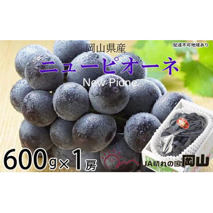 ぶどう 2026年 ニュー ピオーネ 約600g×1房 ブドウ 葡萄 岡山県産 国産 フルーツ 果物 ギフト | フルーツ 果物 くだもの 食品 人気 おすすめ 送料無料