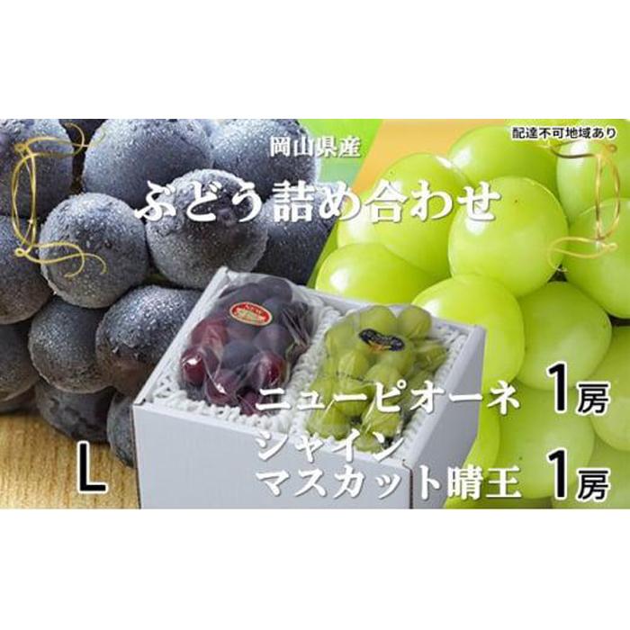 ぶどう 2026年 ニュー ピオーネ 1房 約400g シャイン マスカット 晴王 1房 約400g 詰め合わせ ブドウ 葡萄 岡山県産 国産 フルーツ 果物 ギフト | フルーツ 果物 くだもの 食品 人気