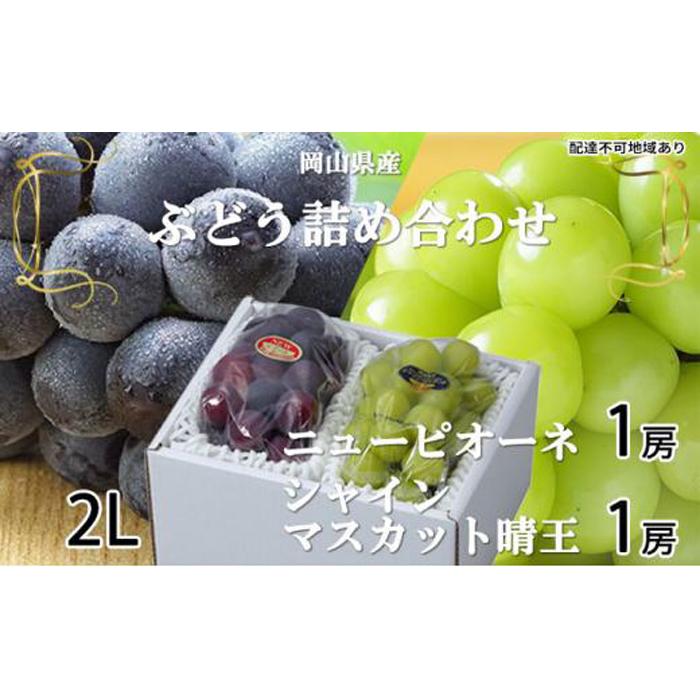 ぶどう 2026年 ニュー ピオーネ 1房 約500g シャイン マスカット 晴王 1房 約500g 詰め合わせ ブドウ 葡萄 岡山県産 国産 フルーツ 果物 ギフト | フルーツ 果物 くだもの 食品 人気