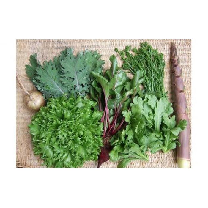 【ふるさと納税】野菜 2026年 旬の固定種野菜 バイオダイナミック農業 7品目前後（11月～2月のお届け）常温配送 | 野菜 やさい 食品 人気 おすすめ 送料無料 - 画像2