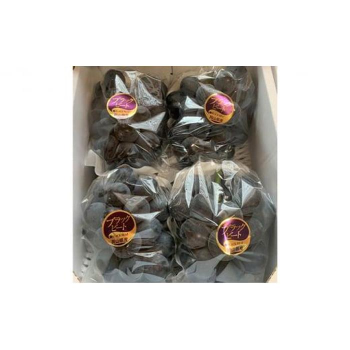 【ふるさと納税】ぶどう 2026年 アントシアニン豊富な ブラックビート 3～6房 合計約2kg ブドウ 葡萄 岡山市産 国産 フルーツ 果物 渡邊農園 | フルーツ 果物 くだもの 食品 人気 おすすめ 送料無料 サムネイル3