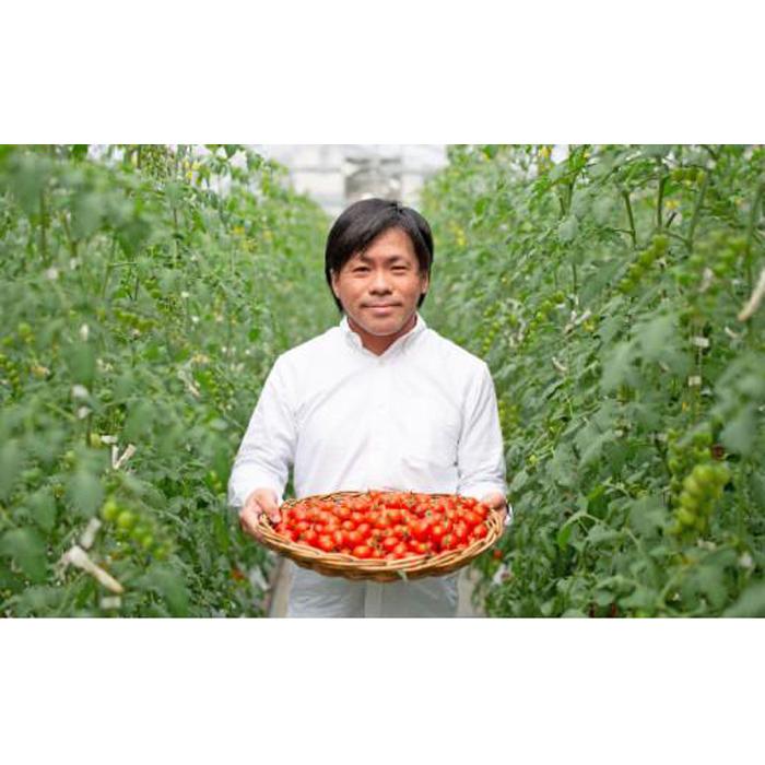 【ふるさと納税】きびトマト（高糖度ミニトマト）1kg | 野菜 やさい 食品 人気 おすすめ 送料無料 - 画像2