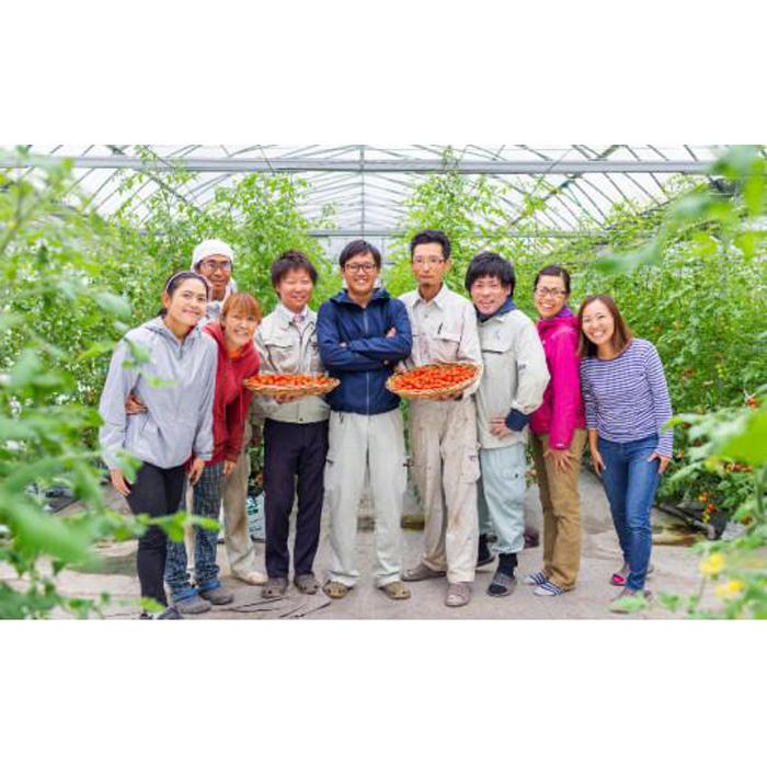 【ふるさと納税】きびトマト（高糖度ミニトマト）1kg | 野菜 やさい 食品 人気 おすすめ 送料無料 - 画像3