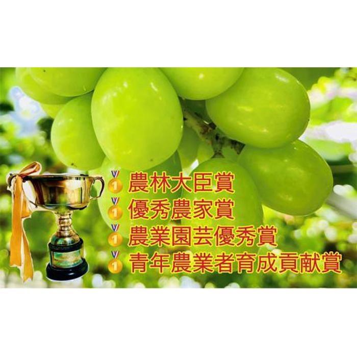 【ふるさと納税】ぶどう 2026年 シャインマスカット クイーンニーナ 大粒のみ 36粒 JEWELBOX ギフト 贈り物 岡山 国産 果物 フルーツ シャイン マスカット | フルーツ 果物 くだもの 食品 人気 おすすめ サムネイル3