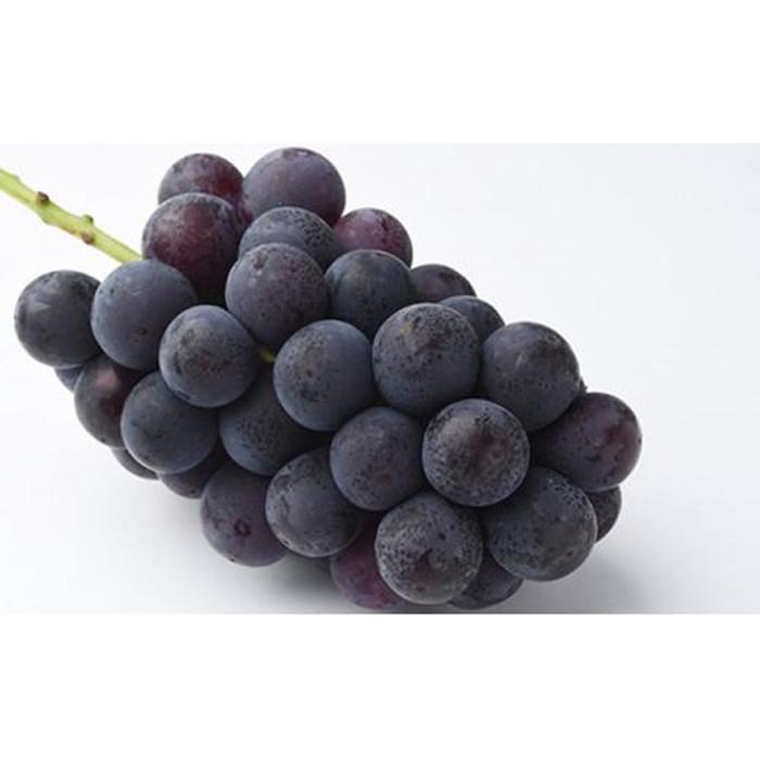 【ふるさと納税】桃 ぶどう 2026年 果物詰合せ 白桃 2玉（1玉200g以上） ニュー ピオーネ 2房（合計約940g）化粧箱入り もも 葡萄 岡山県産 国産 フルーツ ギフト | もも フルーツ 果物 くだもの 食品 人気 サムネイル3