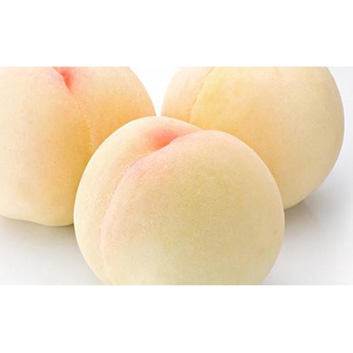 桃 ぶどう 2026年 果物詰合せ 白桃 2玉（1玉200g以上） シャイン マスカット 晴王 2房（合計約940g）化粧箱入り 岡山県産 国産 フルーツ ギフト | もも フルーツ 果物 くだもの 食品 人気