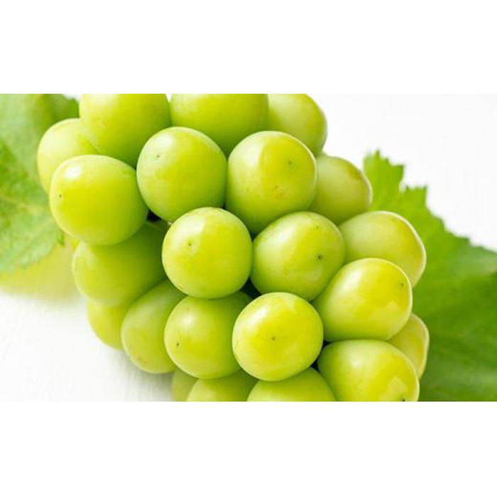 【ふるさと納税】桃 ぶどう 2026年 果物詰合せ 白桃 2玉（1玉200g以上） シャイン マスカット 晴王 2房（合計約940g）化粧箱入り 岡山県産 国産 フルーツ ギフト | もも フルーツ 果物 くだもの 食品 人気 サムネイル2