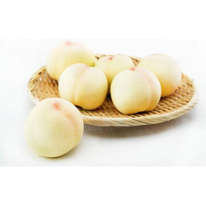 桃 定期便 2026年 晴れの国 岡山 の 白桃 ×2回 お届け 1回目 白桃 6玉（1玉250g以上）／2回目 白桃 6玉（1玉300g以上） 化粧箱入り もも モモ 岡山産 国産 フルーツ 果物 ギフト