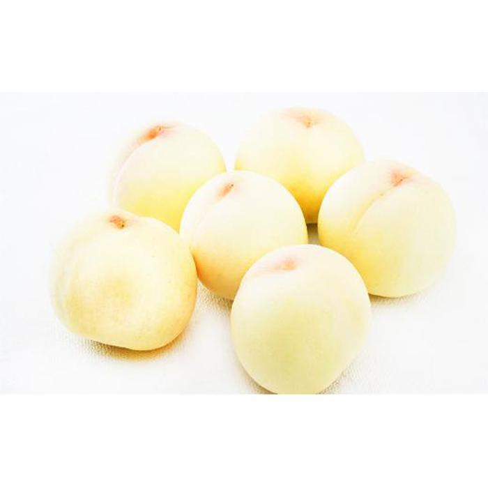 【ふるさと納税】桃 定期便 2026年 晴れの国 岡山 の 白桃 ×2回 お届け 1回目 白桃 6玉（1玉250g以上）／2回目 白桃 6玉（1玉300g以上） 化粧箱入り もも モモ 岡山産 国産 フルーツ 果物 ギフト サムネイル2