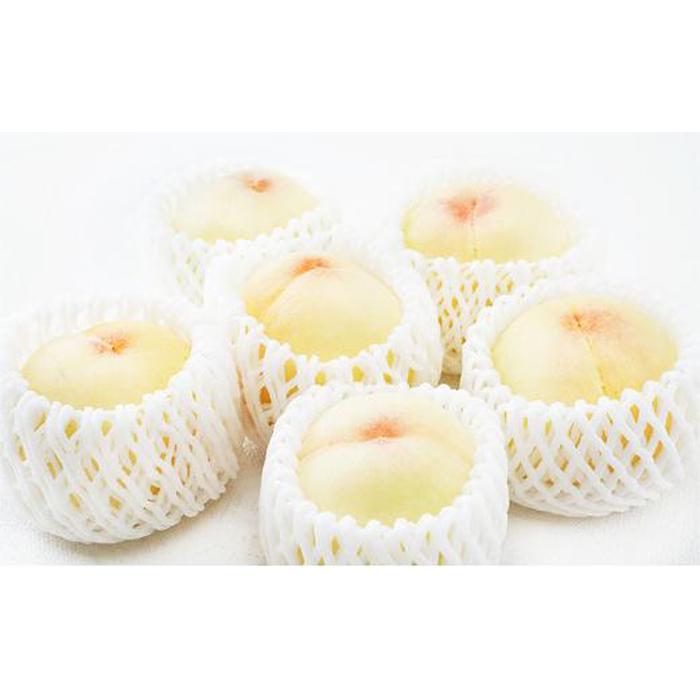 【ふるさと納税】桃 定期便 2026年 晴れの国 岡山 の 白桃 ×2回 お届け 1回目 白桃 6玉（1玉250g以上）／2回目 白桃 6玉（1玉300g以上） 化粧箱入り もも モモ 岡山産 国産 フルーツ 果物 ギフト サムネイル3