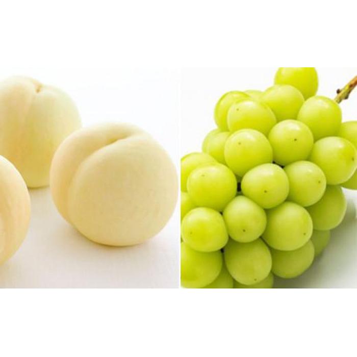 フルーツ 2026年 晴れの国 岡山 の フルーツ 定期便 6回コース 桃 ぶどう 梨 岡山県産 国産 フルーツ 果物 ギフト | もも フルーツ 果物 くだもの 食品 人気 おすすめ 送料無料