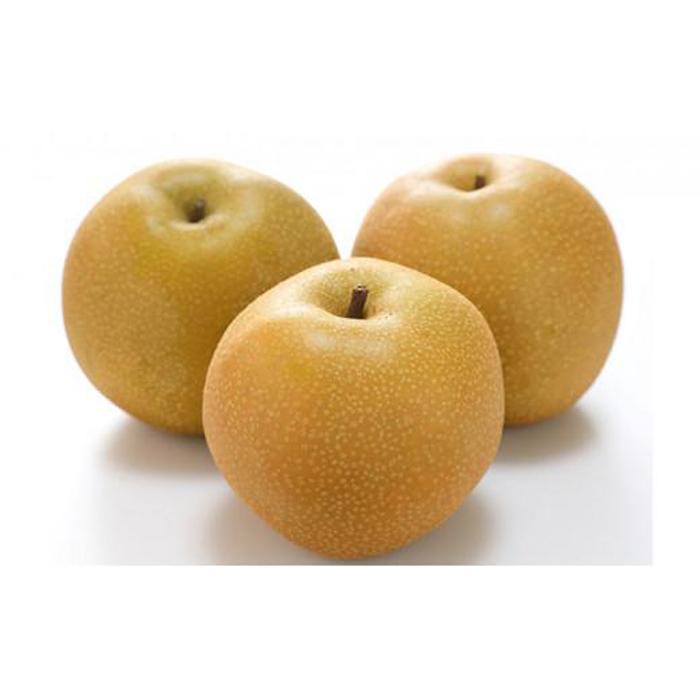 【ふるさと納税】フルーツ 2026年 晴れの国 岡山 の フルーツ 定期便 6回コース 桃 ぶどう 梨 岡山県産 国産 フルーツ 果物 ギフト | もも フルーツ 果物 くだもの 食品 人気 おすすめ 送料無料 サムネイル3