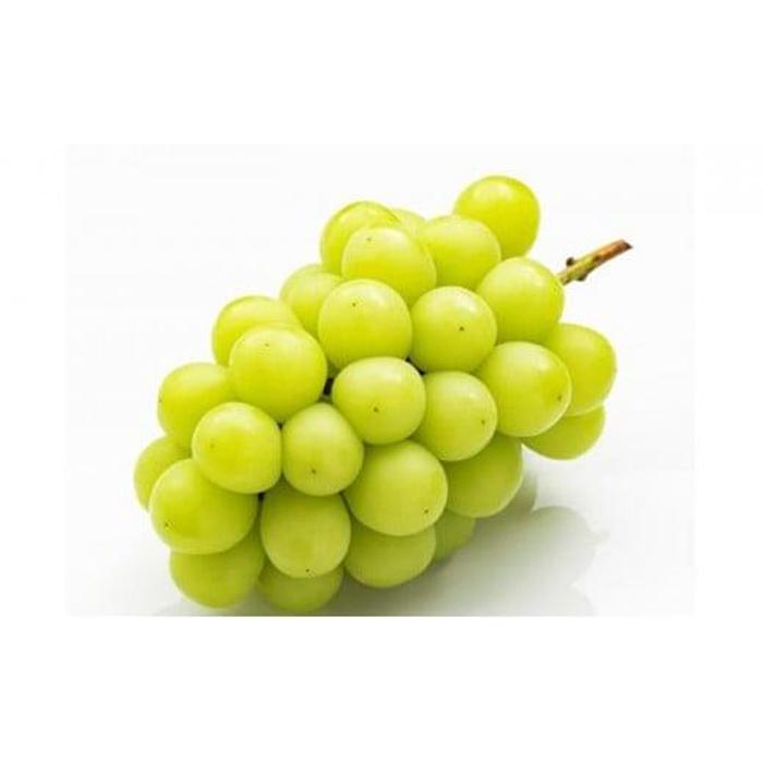 【ふるさと納税】フルーツ 2026年 晴れの国 岡山 の フルーツ 定期便 2回コース 桃 ぶどう 岡山県産 国産 フルーツ 果物 ギフト | もも フルーツ 果物 くだもの 食品 人気 おすすめ 送料無料 サムネイル3