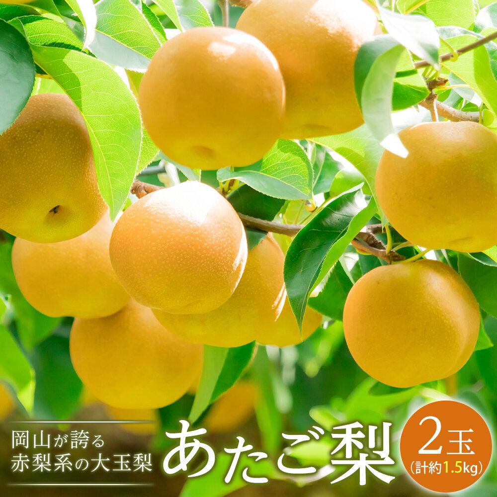 梨 2025年 あたご梨 2玉（1玉約750g）合計約1.5kg なし ナシ 岡山県産 国産 フルーツ 果物 ギフト | フルーツ 果物 くだもの 食品 人気 おすすめ 送料無料