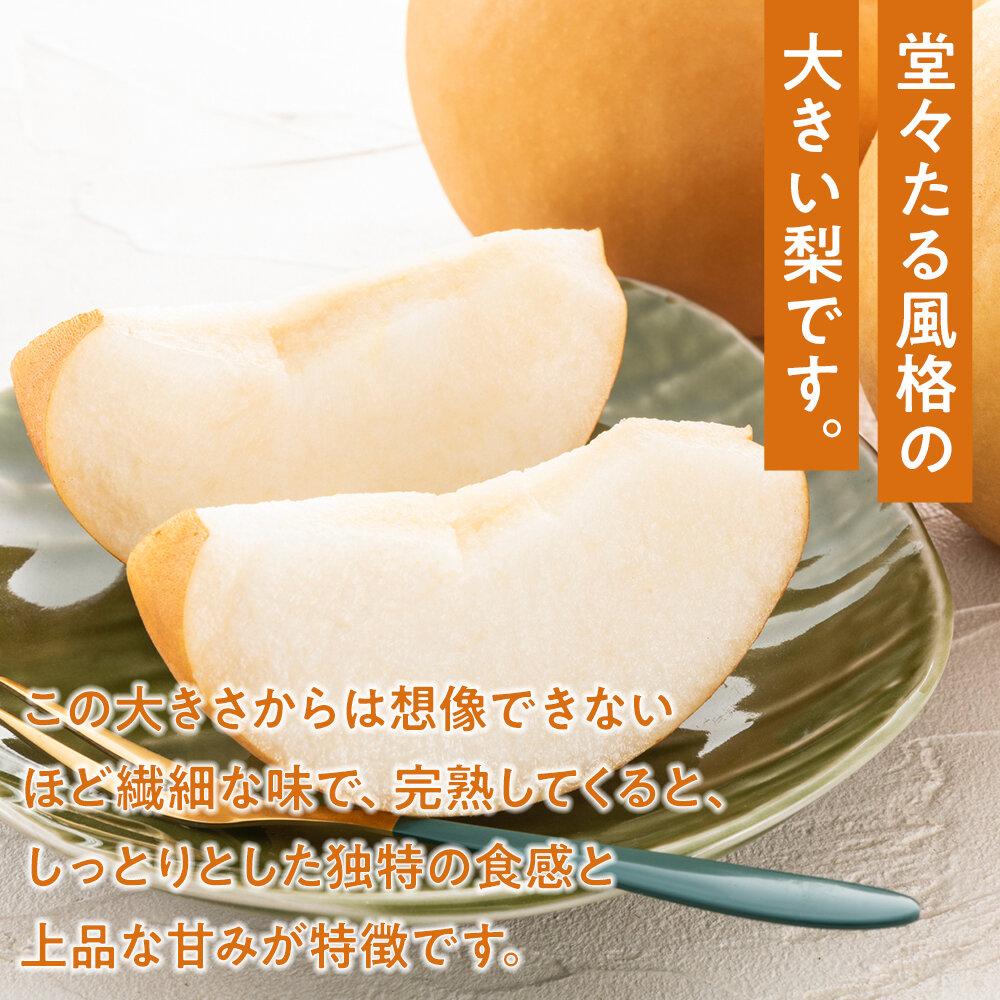 【ふるさと納税】梨 2025年 あたご梨 2玉（1玉約750g）合計約1.5kg なし ナシ 岡山県産 国産 フルーツ 果物 ギフト | フルーツ 果物 くだもの 食品 人気 おすすめ 送料無料 サムネイル2