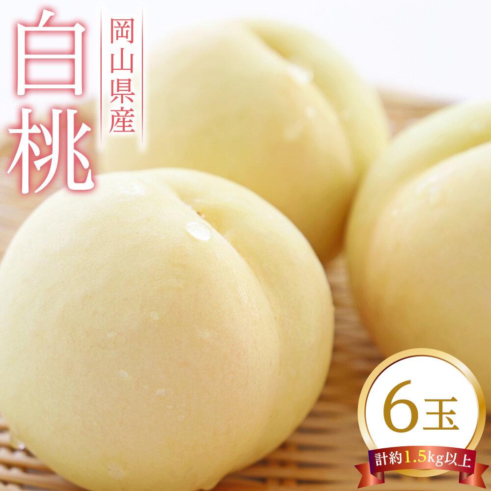 桃 2026年 白桃 6玉（1玉250g以上） もも モモ 岡山県産 国産 フルーツ 果物 ギフト | もも フルーツ 果物 くだもの 食品 人気 おすすめ 送料無料