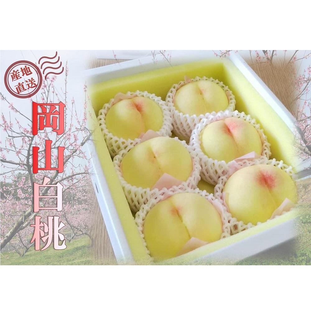 桃 2026年 ご家庭用 岡山 白桃 約2kg（5～10玉） もも モモ 岡山県 岡山市産 国産 フルーツ 果物 | もも フルーツ 果物 くだもの 食品 人気 おすすめ 送料無料