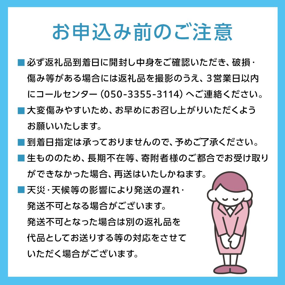 【ふるさと納税】ぶどう 2026年 桃太郎 ぶどう 約1.3kg 2～3房 ブドウ 葡萄 岡山市産 国産 フルーツ 果物 ギフト | フルーツ 果物 くだもの 食品 人気 おすすめ 送料無料 サムネイル3