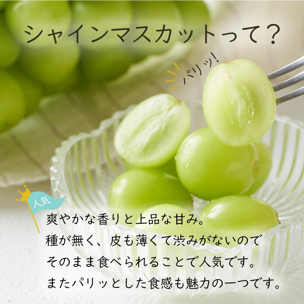 【ふるさと納税】岡山県産 ぶどう 2026年発送 シャインマスカット 晴王 600g以上 1房 種無し ブドウ 葡萄 フルーツ 果物 ギフト | フルーツ 果物 くだもの 食品 人気 おすすめ 送料無料 サムネイル2