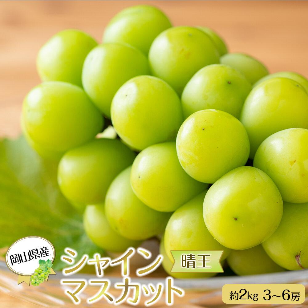 岡山県産 ぶどう 2026年発送 シャインマスカット 晴王 約2kg 3～6房 種無し ブドウ 葡萄 フルーツ 果物 ギフト | フルーツ 果物 くだもの 食品 人気 おすすめ 送料無料