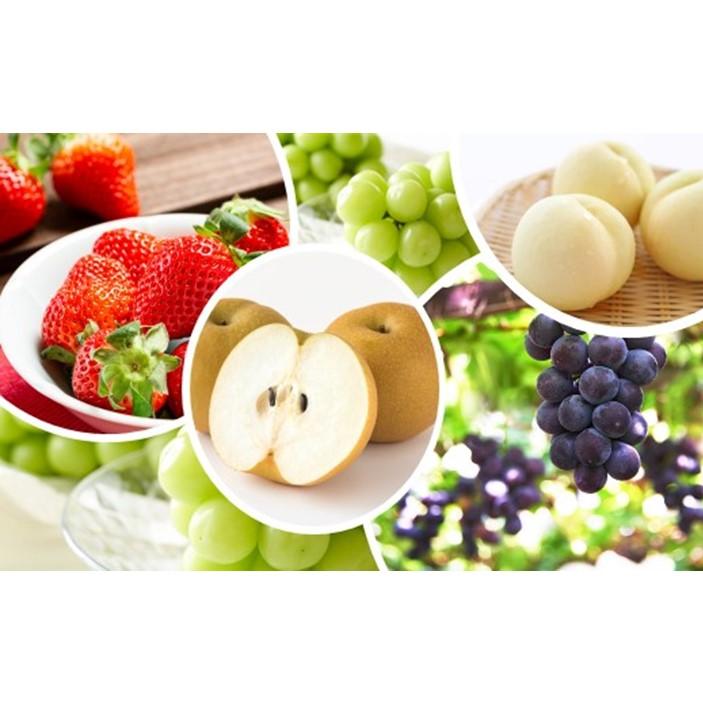 フルーツ 定期便 2026年 晴れの国 岡山の フルーツ 定期便 6回 桃 ぶどう 梨 いちご 岡山県産 国産 フルーツ 果物 ギフト | もも フルーツ 果物 くだもの 食品 人気 おすすめ 送料無料