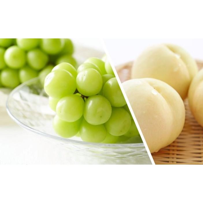 フルーツ 2026年 晴れの国 岡山 の フルーツ 定期便 2回コース 桃 ぶどう 岡山県産 国産 フルーツ 果物 ギフト | もも フルーツ 果物 くだもの 食品 人気 おすすめ 送料無料