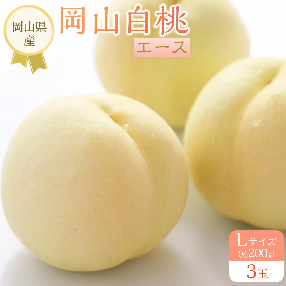 岡山県産 桃 岡山白桃 2026年 エース 3玉×約200g 計600g Lサイズ もも モモ フルーツ 果物 ギフト | モモ momo 白桃 詰め合わせ おかやま 岡山県 岡山市 フルーツ お取り寄せ 国産 送料無料 おすすめ 人気 フルーツ