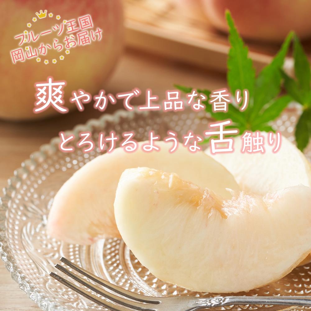 【ふるさと納税】岡山県産 桃 岡山白桃 2026年 エース 3玉×約200g 計600g Lサイズ もも モモ フルーツ 果物 ギフト | モモ momo 白桃 詰め合わせ おかやま 岡山県 岡山市 フルーツ お取り寄せ 国産 送料無料 おすすめ 人気 フルーツ サムネイル3
