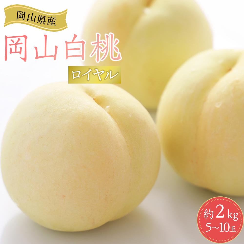 岡山県産 桃 岡山白桃 2026年 ロイヤル 約2kg（5～10玉）もも モモ フルーツ 果物 ギフト | モモ momo 白桃 詰め合わせ おかやま 岡山県 岡山市 フルーツ お取り寄せ 国産 送料無料 おすすめ 人気 フルーツ