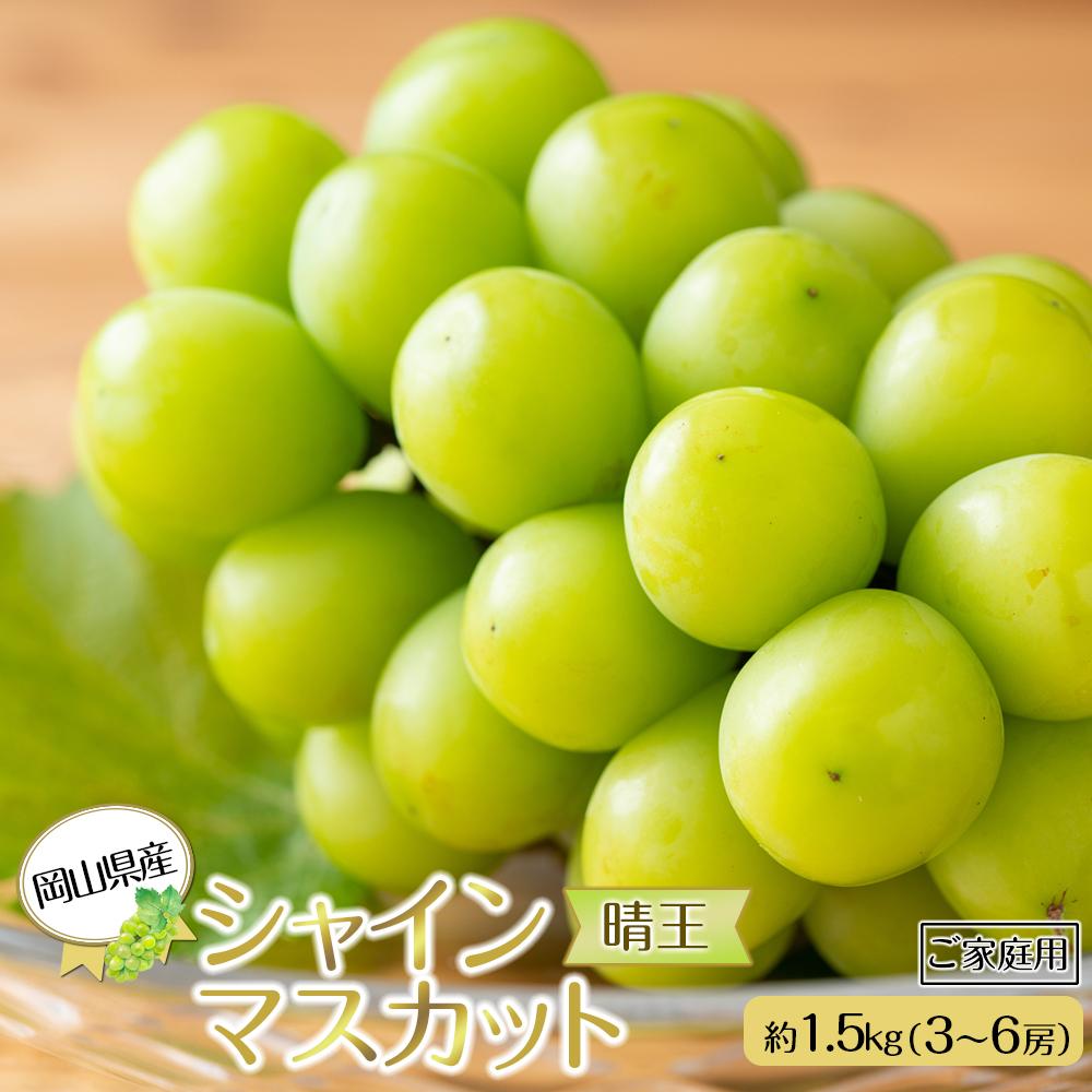 岡山県産 ぶどう 2026年発送 ご家庭用 シャインマスカット 晴王約1.5kg （3～6房）ブドウ フルーツ 果物 | フルーツ 果物 くだもの 食品 人気 おすすめ 送料無料