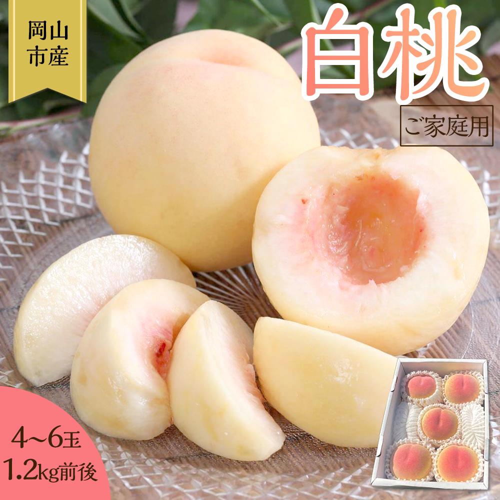 桃 2026年 ご家庭用 岡山 白桃 4玉～6玉 1.2kg 前後 もも 岡山県産 国産 フルーツ 果物 雅桃園 | もも フルーツ 果物 くだもの 食品 人気 おすすめ 送料無料