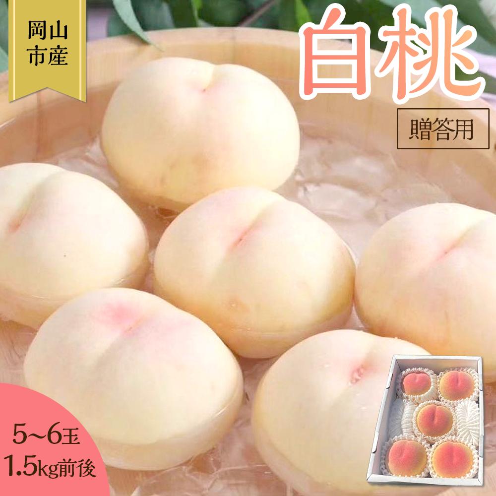 桃 2026年 贈答用 岡山 白桃 5玉～6玉 1.5kg 前後 もも 岡山県産 国産 フルーツ 果物 ギフト 雅桃園 | もも フルーツ 果物 くだもの 食品 人気 おすすめ 送料無料