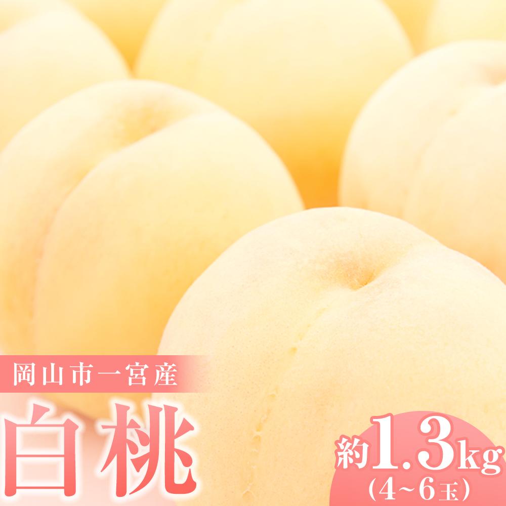 桃 2026年 ご家庭用 岡山市一宮産 白桃（早生、中生種）約1.3kg 4～6玉 もも モモ フルーツ 果物 犬塚農園 | もも フルーツ 果物 くだもの 食品 人気 おすすめ 送料無料