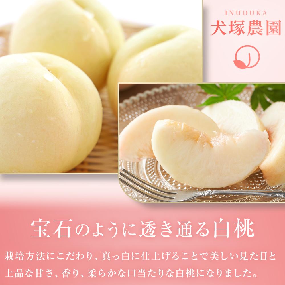 【ふるさと納税】桃 2026年 ご家庭用 岡山市一宮産 白桃（早生、中生種）約1.3kg 4～6玉 もも モモ フルーツ 果物 犬塚農園 | もも フルーツ 果物 くだもの 食品 人気 おすすめ 送料無料 サムネイル2
