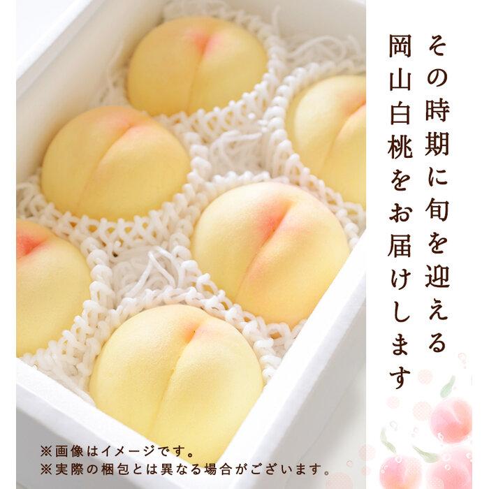 【ふるさと納税】2026年 岡山県産　白桃6玉(1.5kg以上) 等級：ロイヤル 化粧箱入り | フルーツ 果物 くだもの 食品 人気 おすすめ 送料無料 サムネイル3