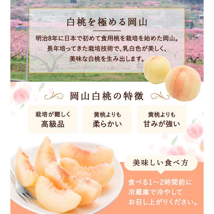 【ふるさと納税】2026年 岡山県産　白桃 5玉 (1.5kg以上) 等級：ロイヤル 木箱入り | フルーツ 果物 くだもの 食品 人気 おすすめ 送料無料 サムネイル2